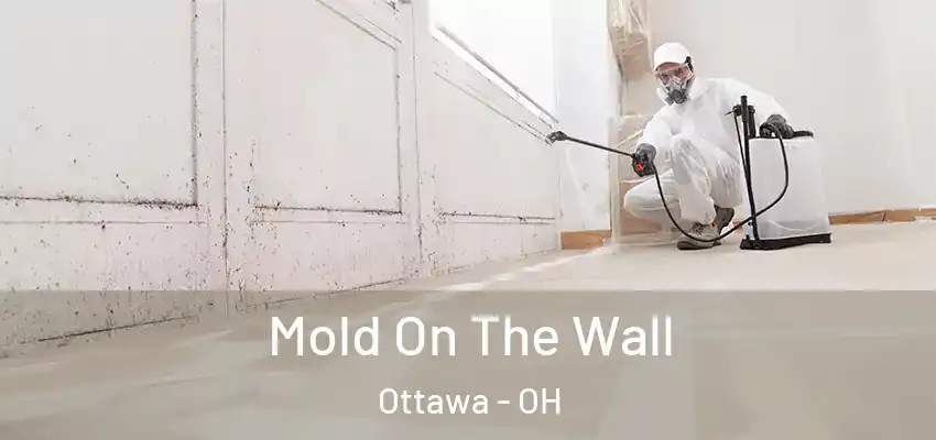  Mold On The Wall Ottawa - OH