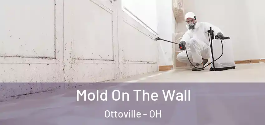  Mold On The Wall Ottoville - OH