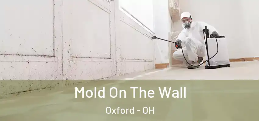 Mold On The Wall Oxford - OH