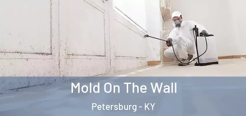  Mold On The Wall Petersburg - KY