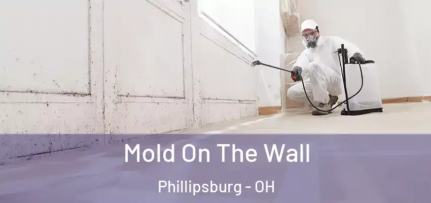 Mold On The Wall Phillipsburg - OH