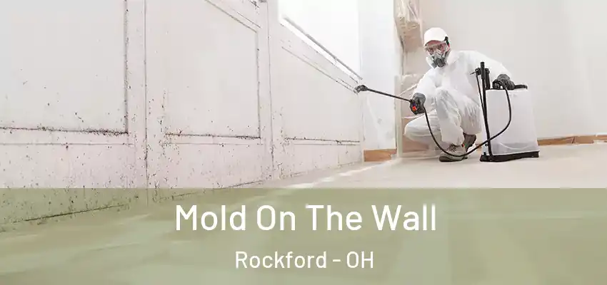  Mold On The Wall Rockford - OH