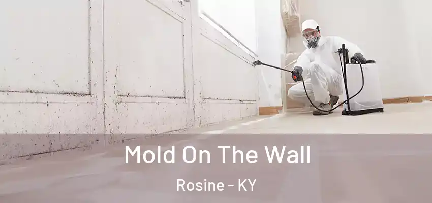  Mold On The Wall Rosine - KY