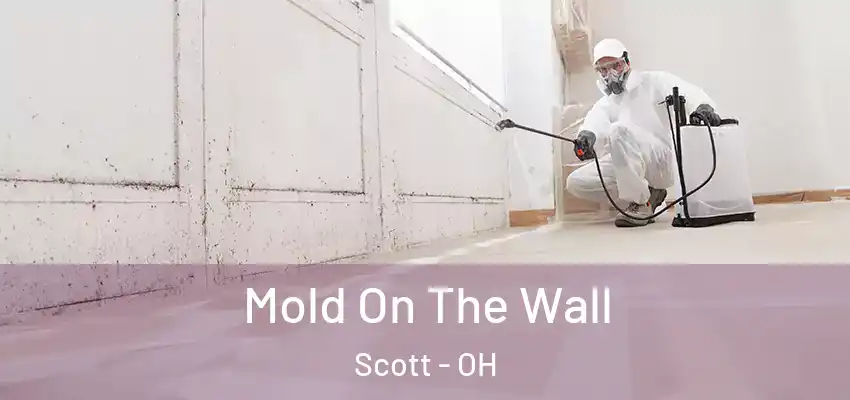  Mold On The Wall Scott - OH