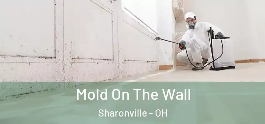  Mold On The Wall Sharonville - OH
