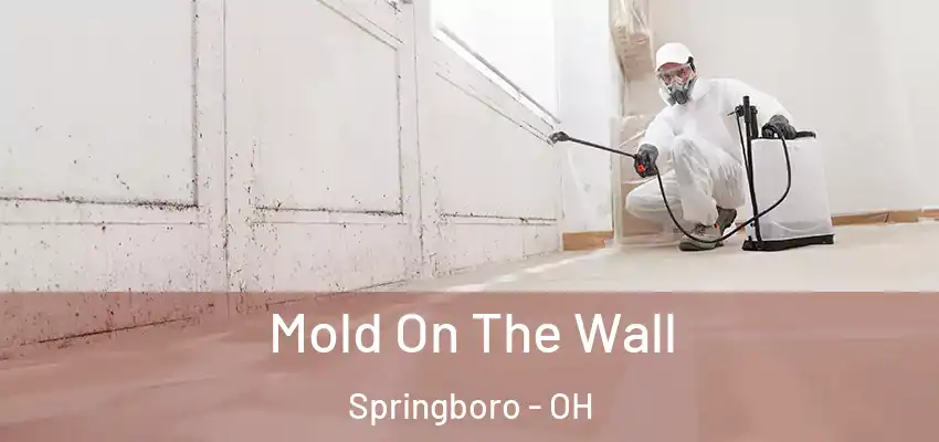  Mold On The Wall Springboro - OH