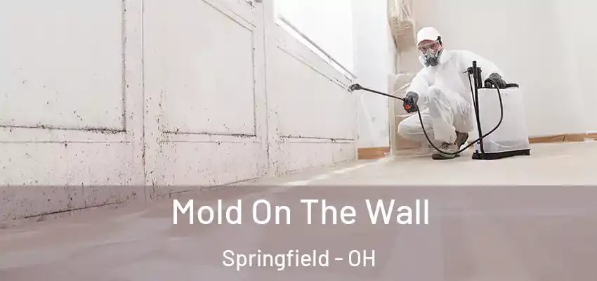  Mold On The Wall Springfield - OH