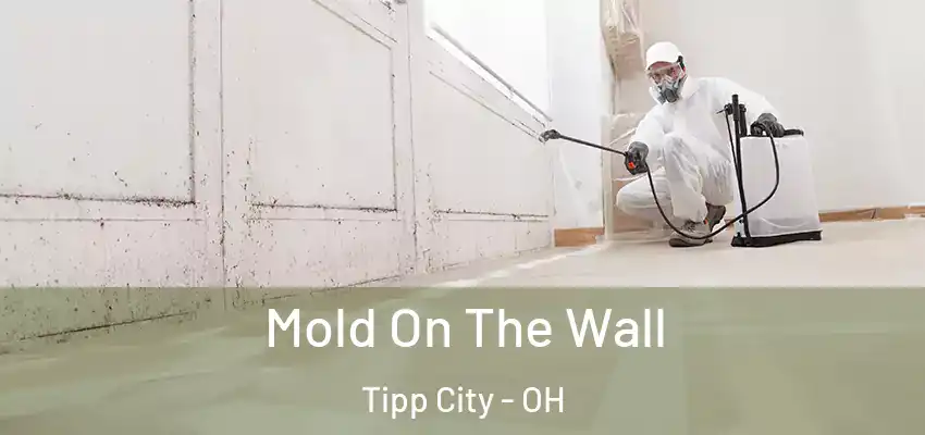 Mold On The Wall Tipp City - OH