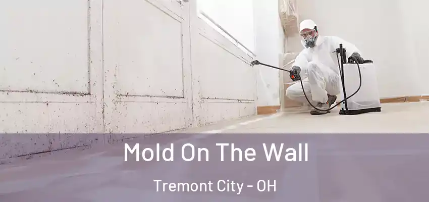  Mold On The Wall Tremont City - OH
