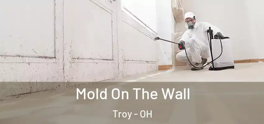  Mold On The Wall Troy - OH