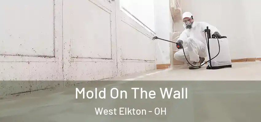Mold On The Wall West Elkton - OH