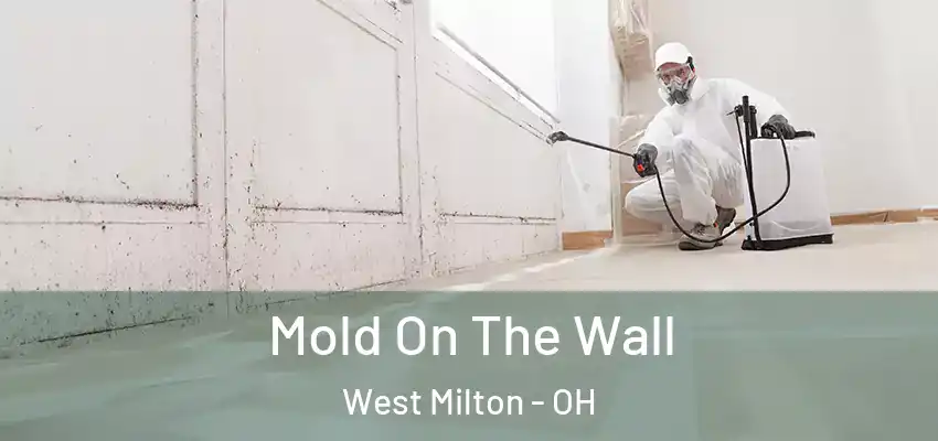 Mold On The Wall West Milton - OH