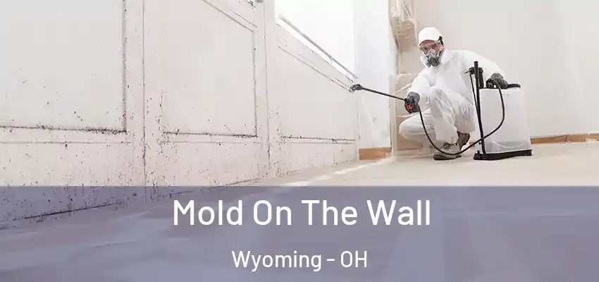  Mold On The Wall Wyoming - OH