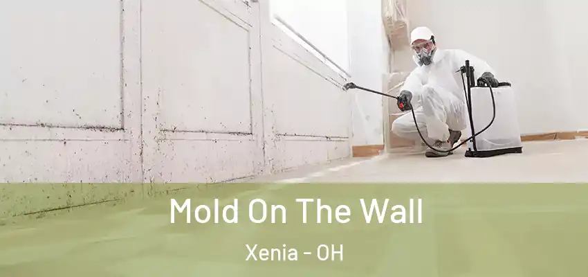  Mold On The Wall Xenia - OH