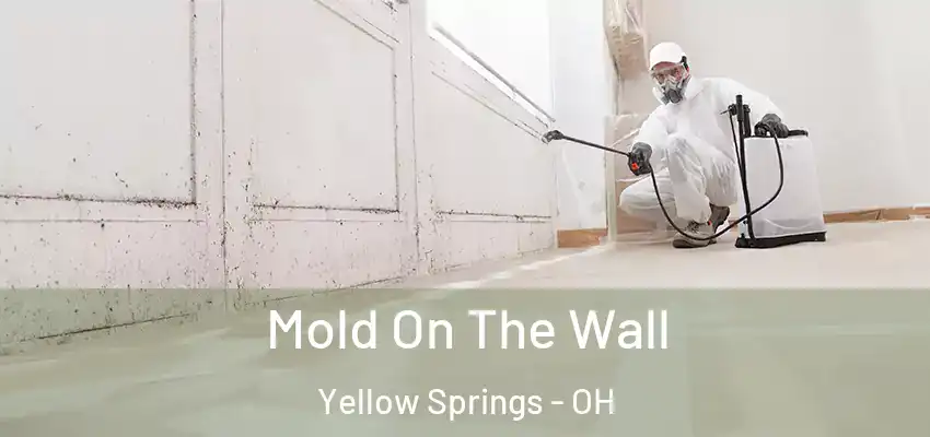 Mold On The Wall Yellow Springs - OH