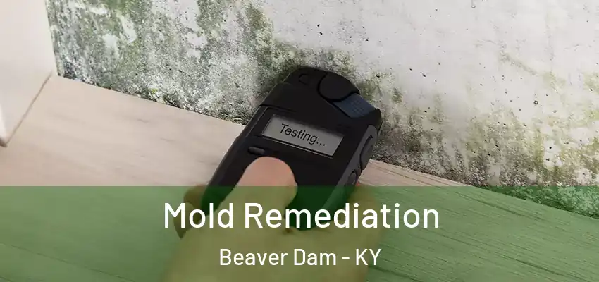  Mold Remediation Beaver Dam - KY