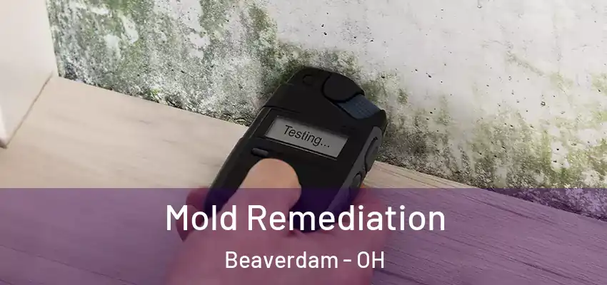  Mold Remediation Beaverdam - OH