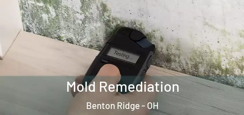  Mold Remediation Benton Ridge - OH