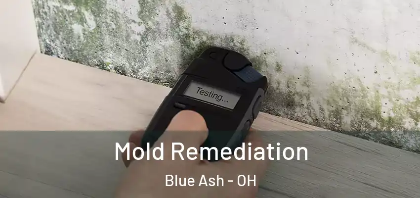  Mold Remediation Blue Ash - OH