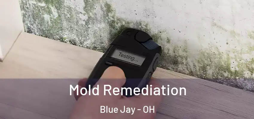  Mold Remediation Blue Jay - OH