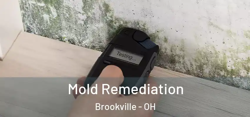 Mold Remediation Brookville - OH