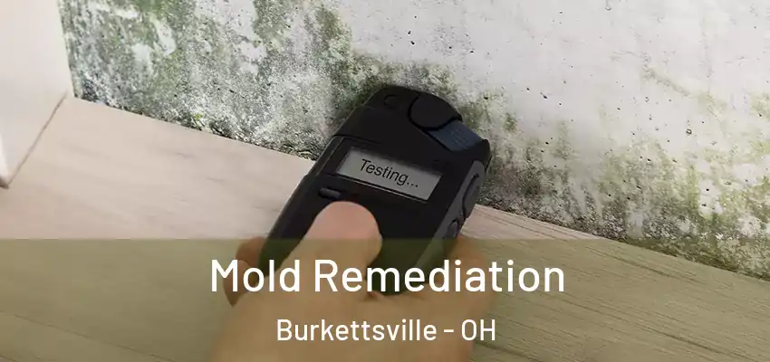 Mold Remediation Burkettsville - OH