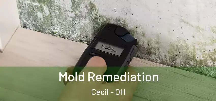  Mold Remediation Cecil - OH