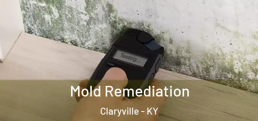  Mold Remediation Claryville - KY