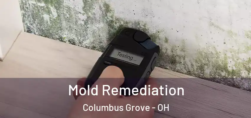 Mold Remediation Columbus Grove - OH