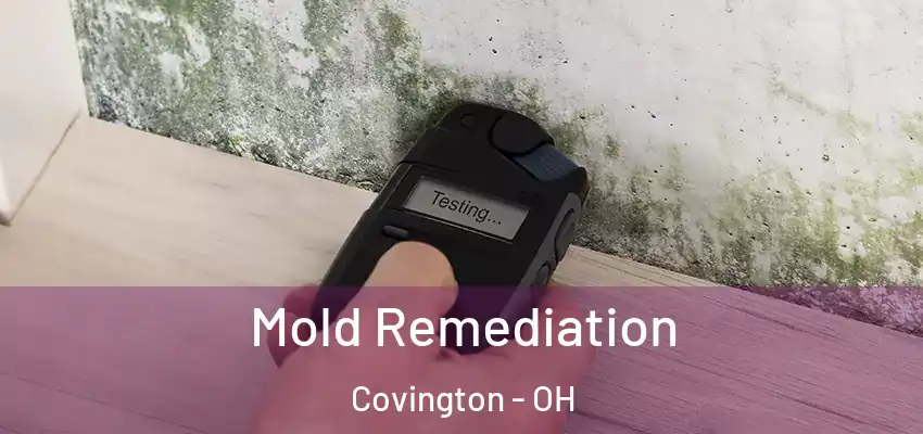  Mold Remediation Covington - OH
