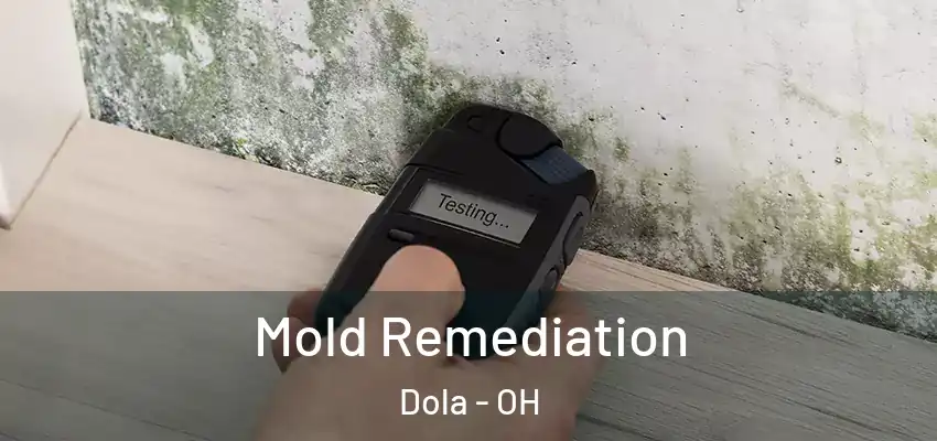 Mold Remediation Dola - OH
