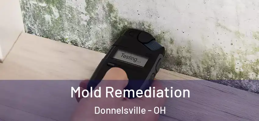 Mold Remediation Donnelsville - OH