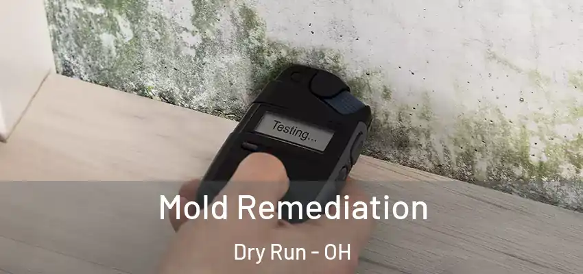  Mold Remediation Dry Run - OH