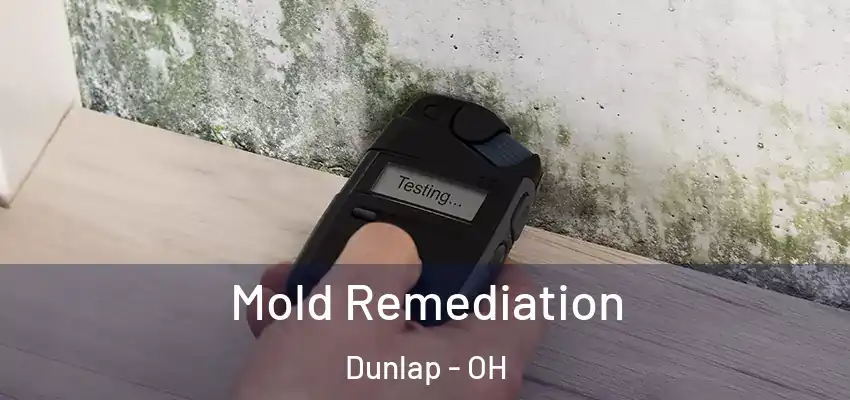  Mold Remediation Dunlap - OH