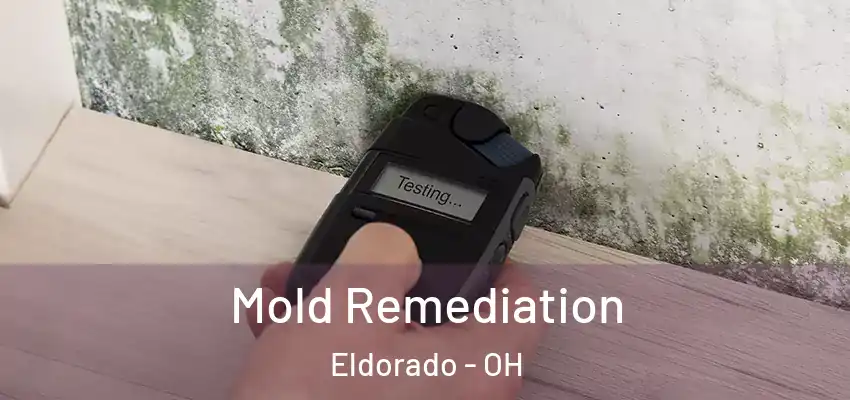  Mold Remediation Eldorado - OH