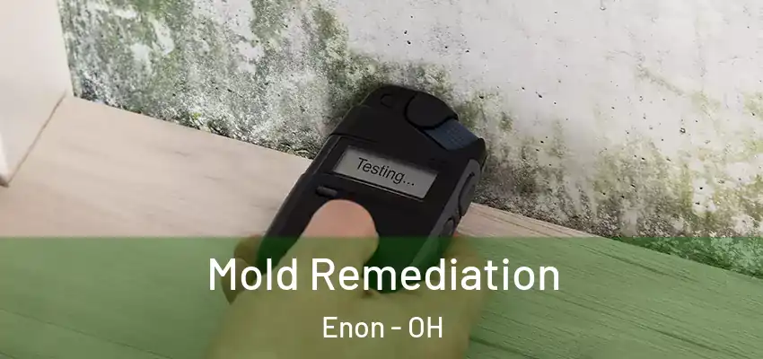  Mold Remediation Enon - OH