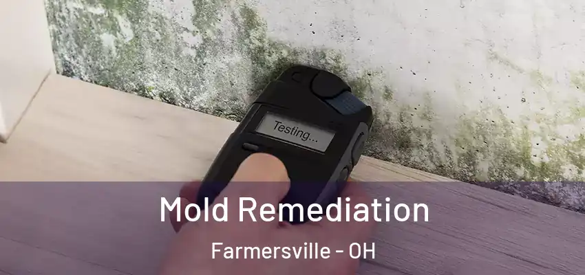  Mold Remediation Farmersville - OH