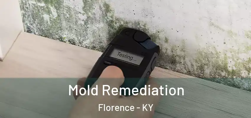  Mold Remediation Florence - KY