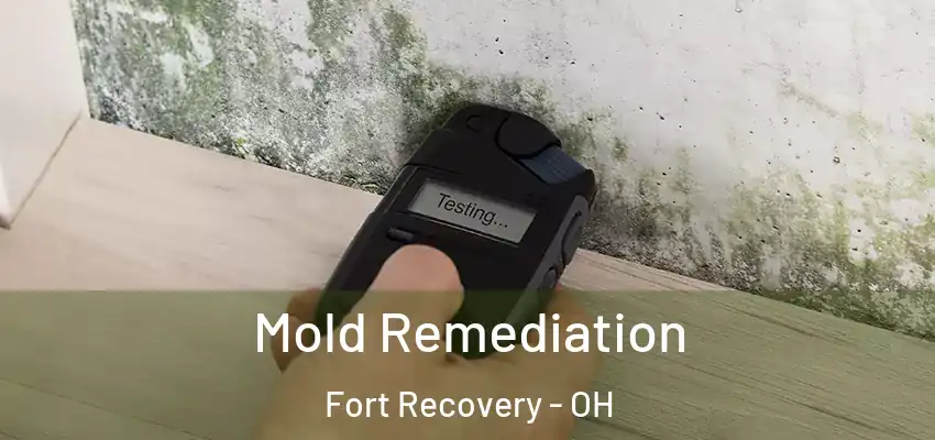  Mold Remediation Fort Recovery - OH