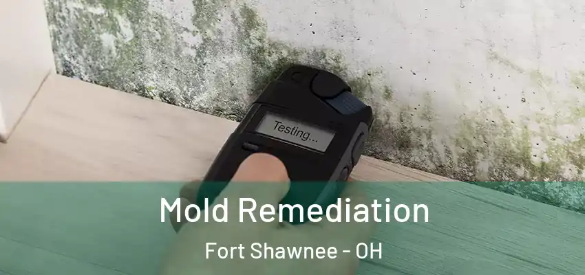  Mold Remediation Fort Shawnee - OH
