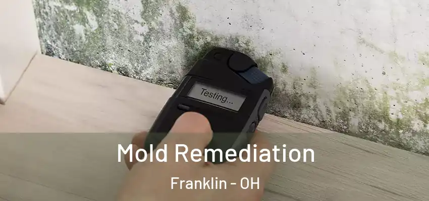  Mold Remediation Franklin - OH