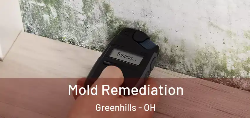  Mold Remediation Greenhills - OH