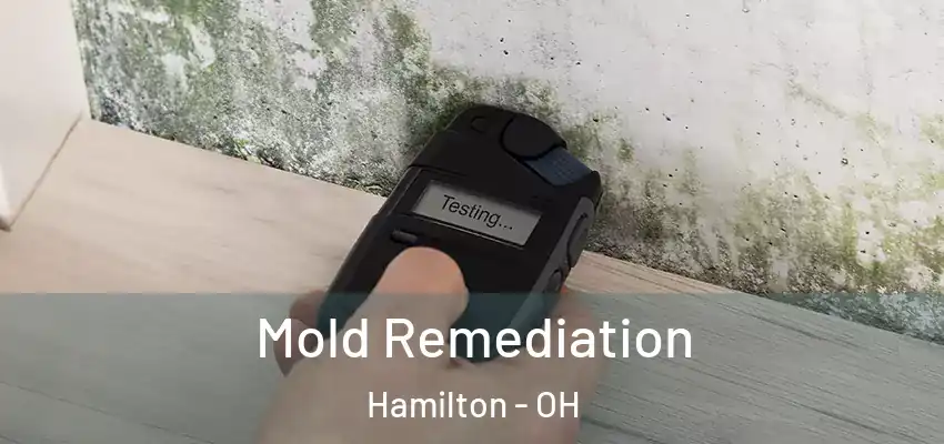 Mold Remediation Hamilton - OH