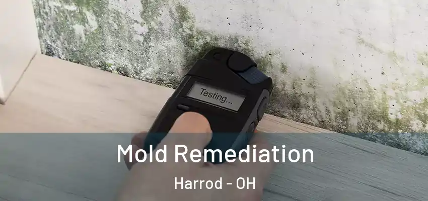 Mold Remediation Harrod - OH