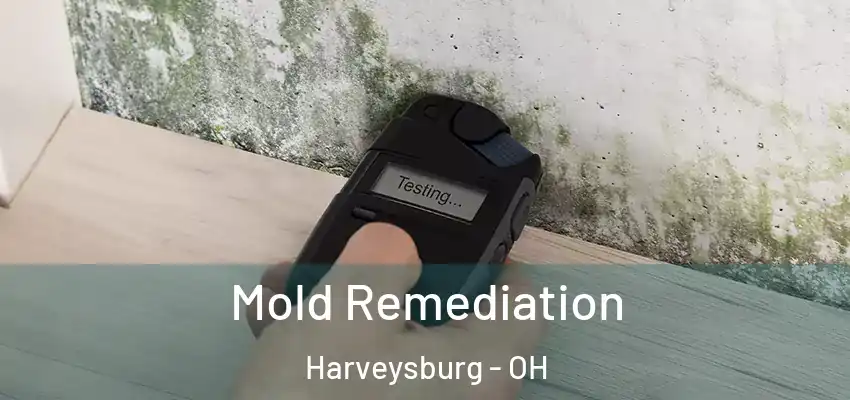 Mold Remediation Harveysburg - OH