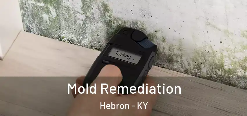  Mold Remediation Hebron - KY