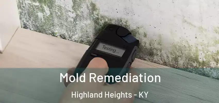  Mold Remediation Highland Heights - KY