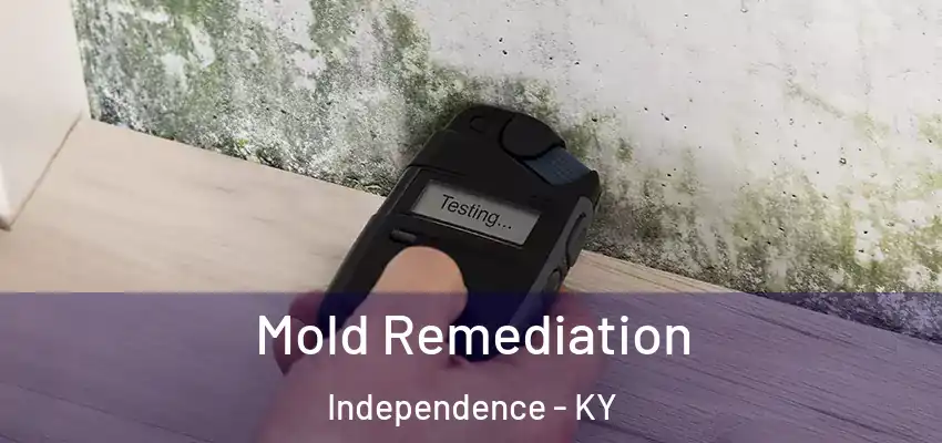 Mold Remediation Independence - KY