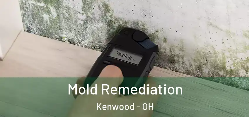  Mold Remediation Kenwood - OH