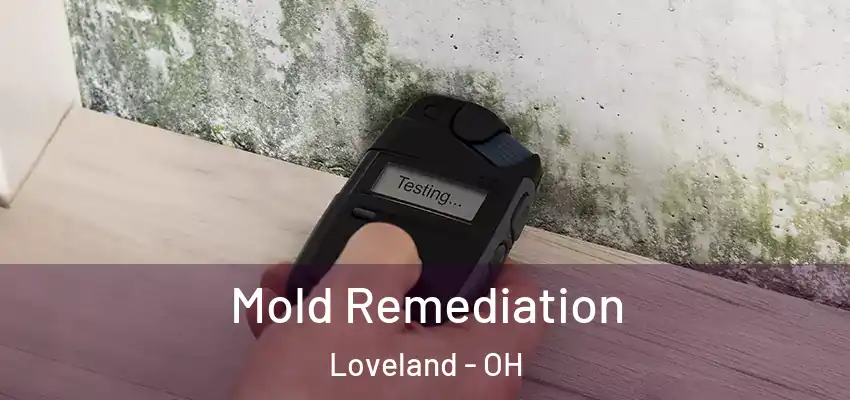  Mold Remediation Loveland - OH